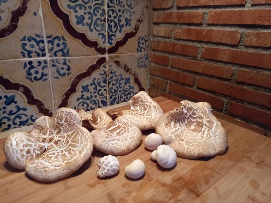 Вилла Casa Della Nonna Caltavuturo Экстерьер фото